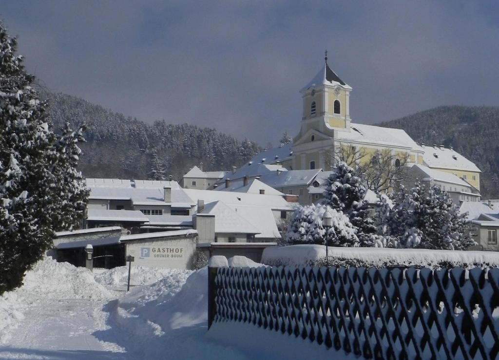 Gasthof Gruener Baum Kirchberg am Wechsel Exterior foto